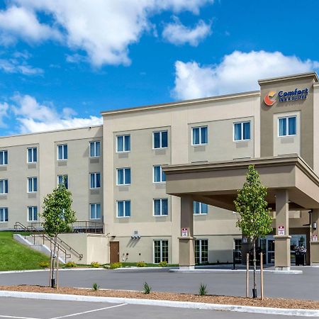 Comfort Inn & Suites Greater Napanee Eksteriør billede